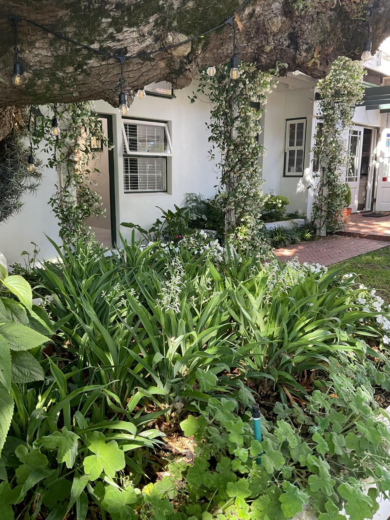 Sandown Lodge ケープタウン エクステリア 写真